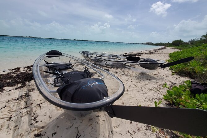 Clear Kayak Mangrove Eco Tour - Guide quality can make or break the outing