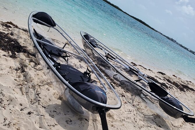 Clear Kayak Mangrove Eco Tour - Timing, pickup, and the practical side of the day