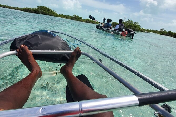 Clear Kayak Mangrove Eco Tour - Who will enjoy this mangrove paddle most?