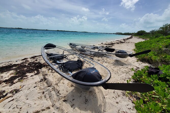 Clear Kayak Mangrove Eco Tour - Little Water Cay and the rock iguanas