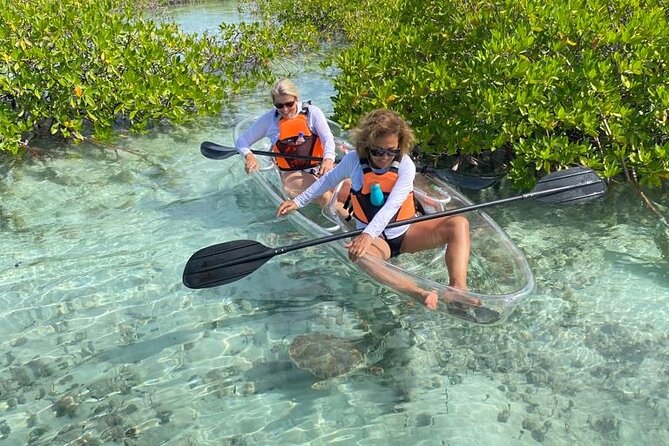 Clear Kayak Tour in Turks & Caicos Islands - Quick take: what matters most