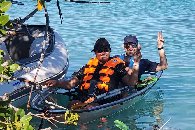 Clear Kayak Tour in Turks & Caicos Islands - Wildlife: turtles first, sharks as a bonus