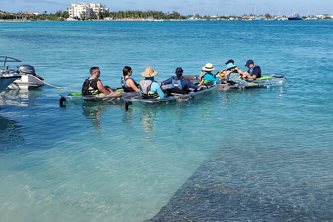 Clear Kayak Tour in Turks & Caicos Islands - Who will enjoy this kayak trip
