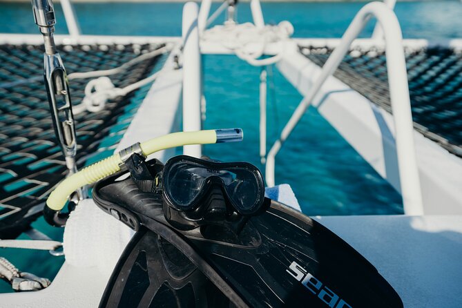 Deluxe Half-Day Snorkel Sail on Lady Grace Luxury Catamaran - Snorkeling the Barrier Reef