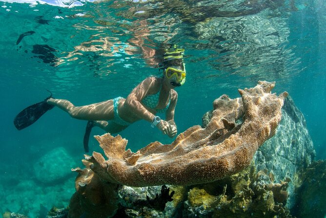 Deluxe Half-Day Snorkel Sail on Lady Grace Luxury Catamaran - Lunch, Cookies, and the Open Bar