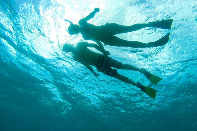 Deluxe Half-Day Snorkel Sail on Lady Grace Luxury Catamaran - Weather, Safety, and The One Serious Caveat