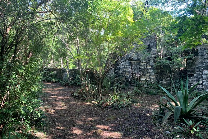 Discovery Tour and Treasure Hunt ( North and Middle Caicos) - Conch Bar Caves: impressive, raw, and not an easy walk