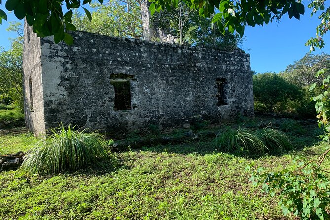 Discovery Tour and Treasure Hunt ( North and Middle Caicos) - Lunch at Dragon Cay and the value of the price