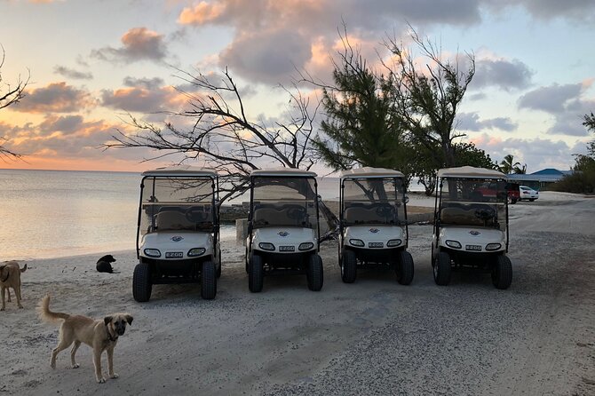 Drive GDT - Golf Cart Rentals - Service, Safety, and Accessibility