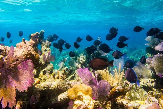 Exclusive Supreme Snorkeling Tour - The boat ride across Grand Turk’s open water