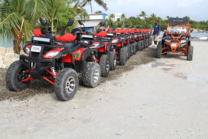 Famous East Island ATV Tour - Flamingo Lake and the Turtle Tail road