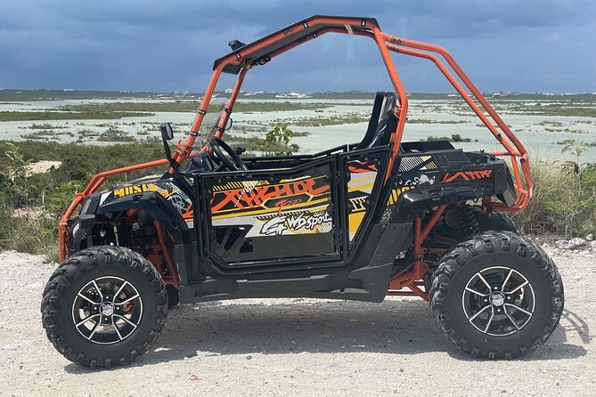 Famous East Island UTV Tour - Starting at Turtle Cove Marina in a street-legal UTV