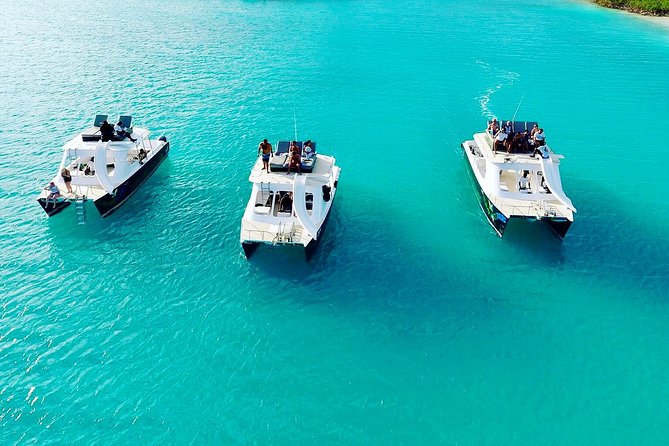 Full Day Beach BBQ Lunch & Snorkeling Excursion in Grace Bay - What $250 buys you