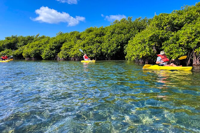 Full Day Clear Kayak Rental Grand Turk - Choosing between a single, tandem, or youth kayak