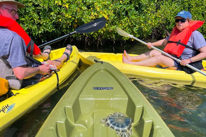 Full Day Clear Kayak Rental Grand Turk - Reaching the mangroves may require extra help