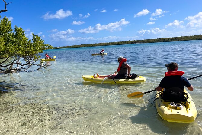 Full Day Clear Kayak Rental Grand Turk - Wildlife viewing without a motor
