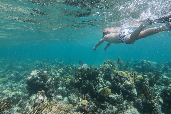 Full Day Cruise from Providenciales with Snorkeling and BBQ Lunch - Iguana Island and the story of the conch