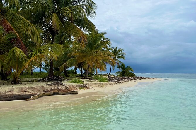 Full-Day Private Catamaran, Turks and Caicos Cruise - The captain can make or break the day