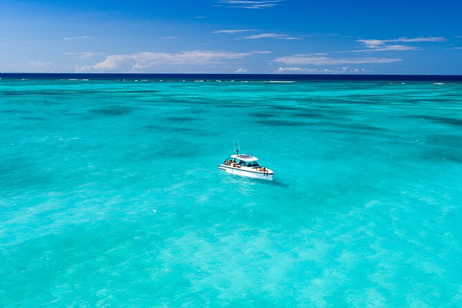 Full-day Private Tour in Turks and Caicos in a Luxury Axopar - West Caicos for snorkeling and an island lunch