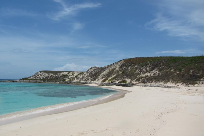 Gibbs Cay Stingray and Conch Dive Adventure - Quick takeaways for your Grand Turk day