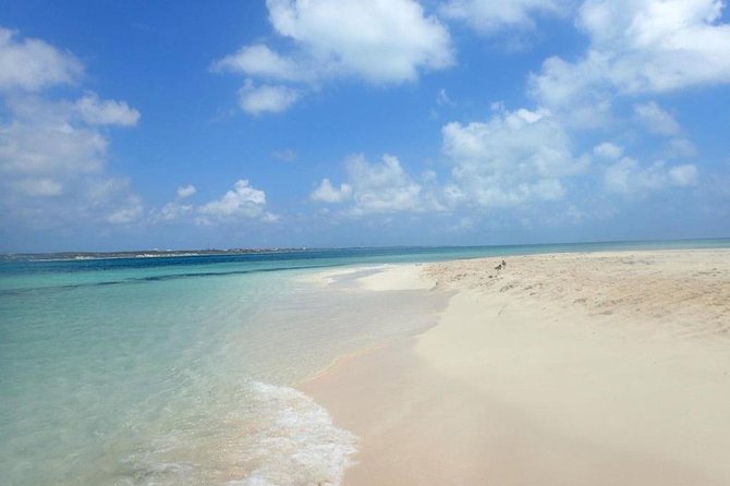 Gibbs Cay Stingray and Conch Dive Adventure - Timing for cruise passengers and island visitors