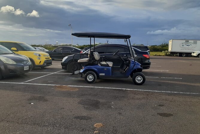 Golf Cart Adventure MaxKart Auto Rentals - Donkeys, beaches, and the pleasures of stopping