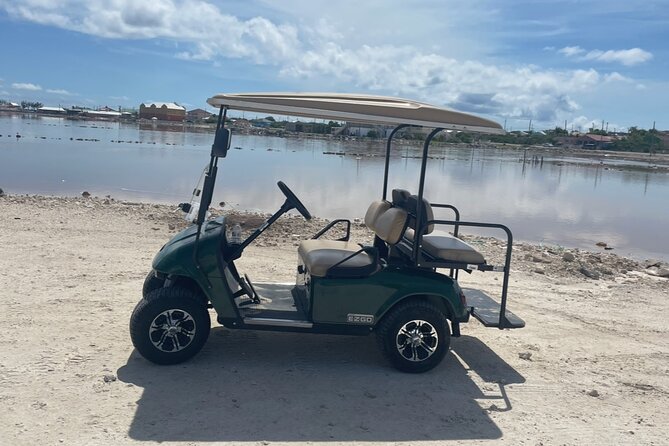 Grand Turk Golf Cart Rentals (CACTUS CARTS) - Finding Cactus Carts Beyond the Cruise Port Gate