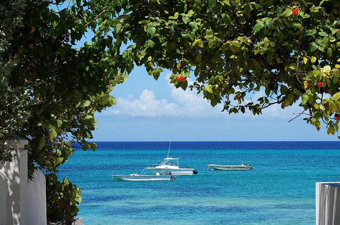 Grand Turk Historical Sightseeing Tour by Tram - Why this $25 tour makes sense on Grand Turk