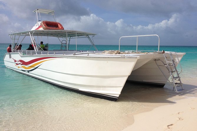 Grand Turk: Whale Watching - What the marine biologist adds