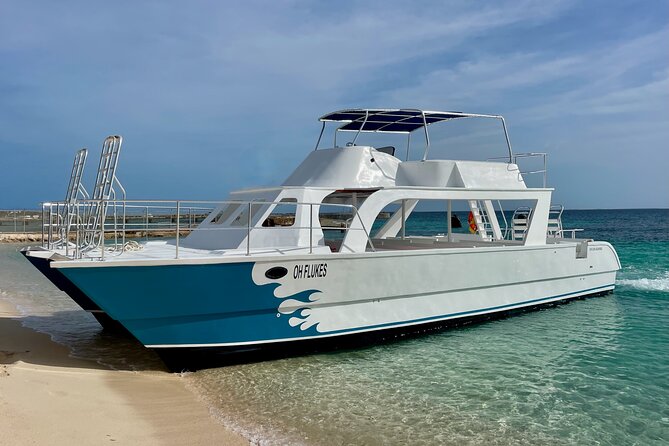 Grand Turk: Whale Watching - Booking, timing, and cancellation advice
