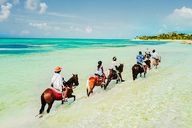 Group Beach and Ocean Horseback Adventure in Providenciales - Key details before you book