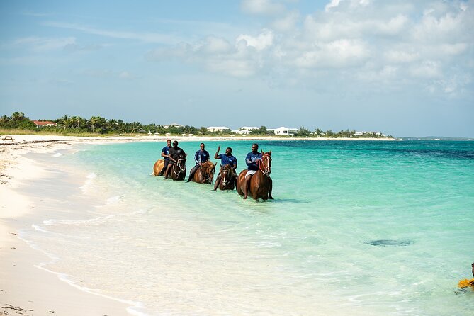 Group Beach and Ocean Horseback Adventure in Providenciales - Entering the clear water with your horse