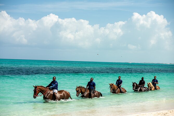 Group Beach and Ocean Horseback Adventure in Providenciales - Photos, water, and the conch shell keepsake