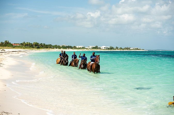 Group Beach and Ocean Horseback Adventure in Providenciales - Is $254 a fair price for one hour?