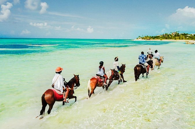 Group Beach and Ocean Horseback Adventure in Providenciales - Who will enjoy this most?