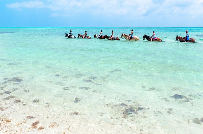 Group Beach and Ocean Horseback Adventure in Providenciales - Practical planning for a smoother ride