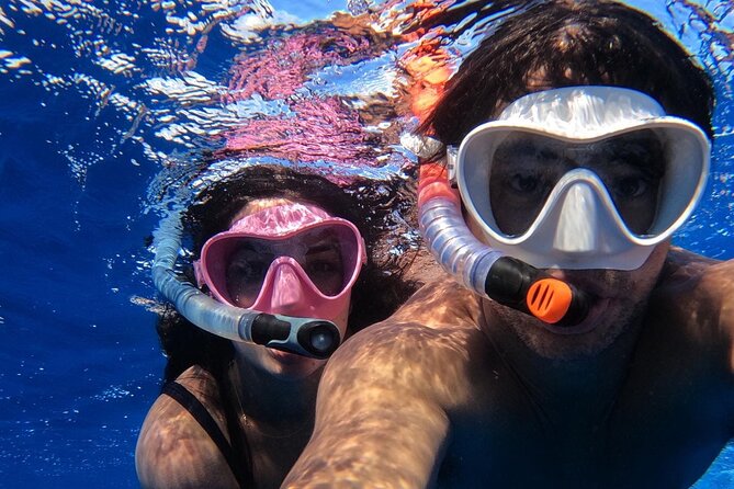 Group Catamaran 4 hr tour coral reef fun Iguana island adventure! - The catamaran is part playground, part lounge