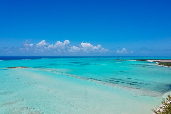 Group Catamaran 4 hr tour coral reef fun Iguana island adventure! - Who will get the most from this trip