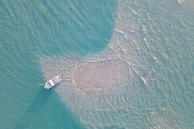 Group Reef, Beach and Sandbar Tour from Providenciales - Key points to know before you book