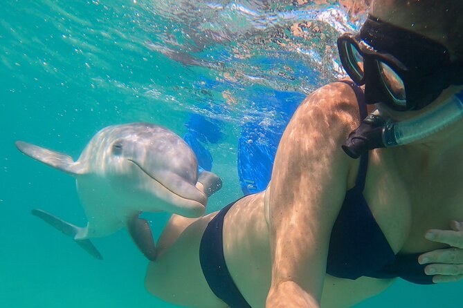 Group Reef, Beach and Sandbar Tour from Providenciales - Lunch, Drinks, and the Boat Ride Home