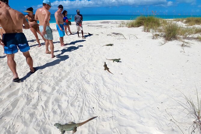 Group Reef, Beach and Sandbar Tour from Providenciales - How the Group Size Changes the Experience