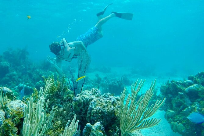 Group Reef, Beach and Sandbar Tour from Providenciales - Who Will Enjoy This Providenciales Tour?