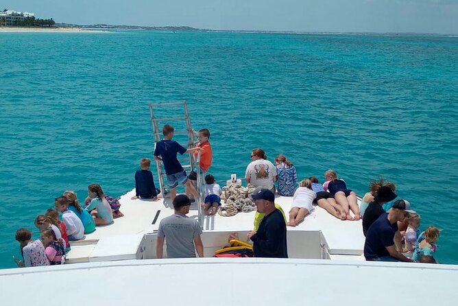 Group Reef, Beach and Sandbar Tour from Providenciales - Half Moon Bay and the Rock Iguanas