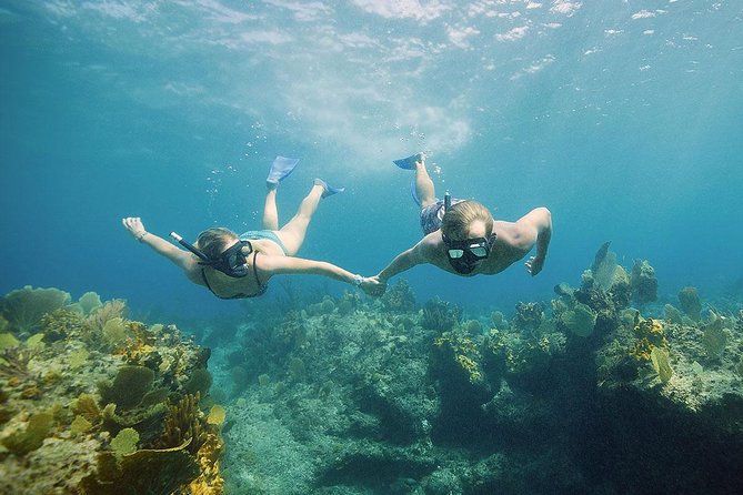 Half Day Private Boat Charter at Grace Bay, Providenciales - Why a private boat works well at Grace Bay