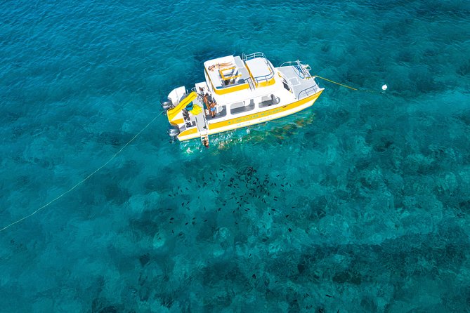 Half Day Private Boat Charter at Grace Bay, Providenciales - Conch hunting, fresh fish, and the island lunch