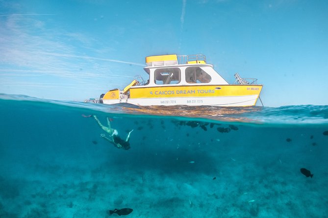 Half Day Private Boat Charter at Grace Bay, Providenciales - Half Moon Bay and the rock iguanas