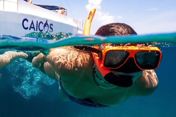 Half Day Snorkel from Providenciales with Visit to Half Moon Bay - Starting with a Grace Bay catamaran pickup