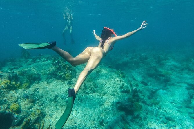 Half Day Snorkel from Providenciales with Visit to Half Moon Bay - Snorkeling at Leeward Reef