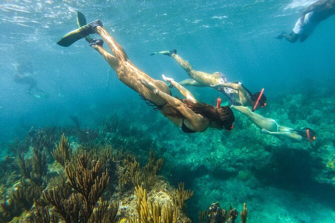 Half Day Snorkel from Providenciales with Visit to Half Moon Bay - The slow cruise through the cays