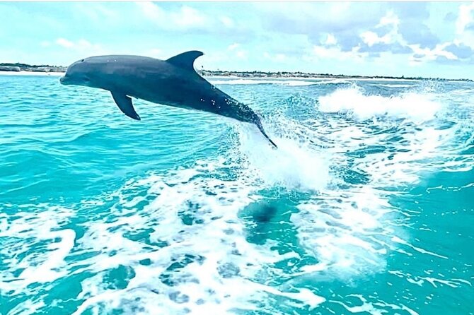 Half Day Snorkel from Providenciales with Visit to Half Moon Bay - Cruising past Grace Bay’s famous water